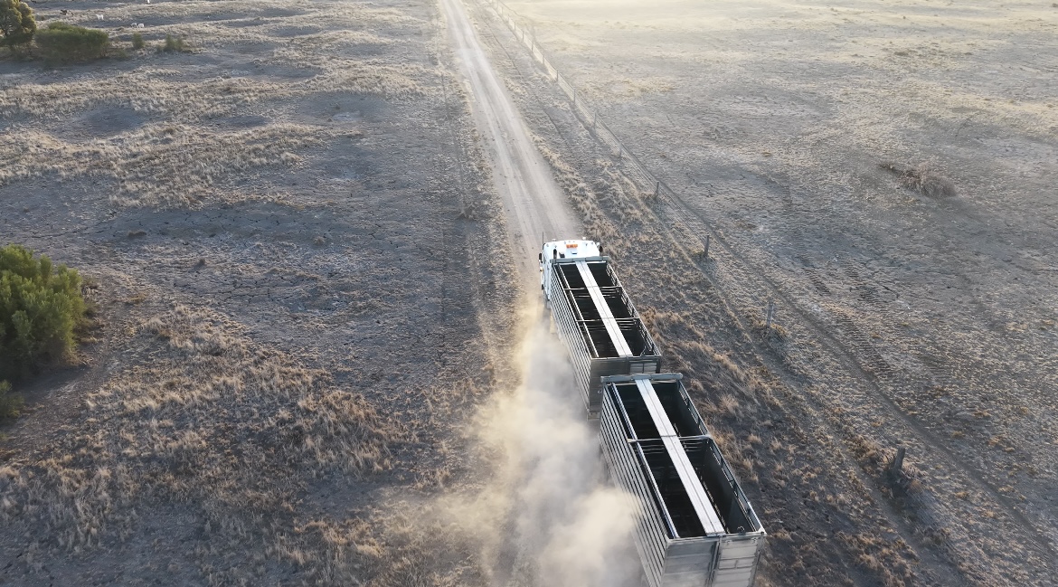 Empty livestock truck travelling on a rural road